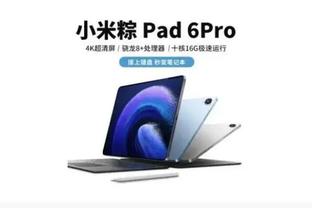 雷竞技有pc吗截图4